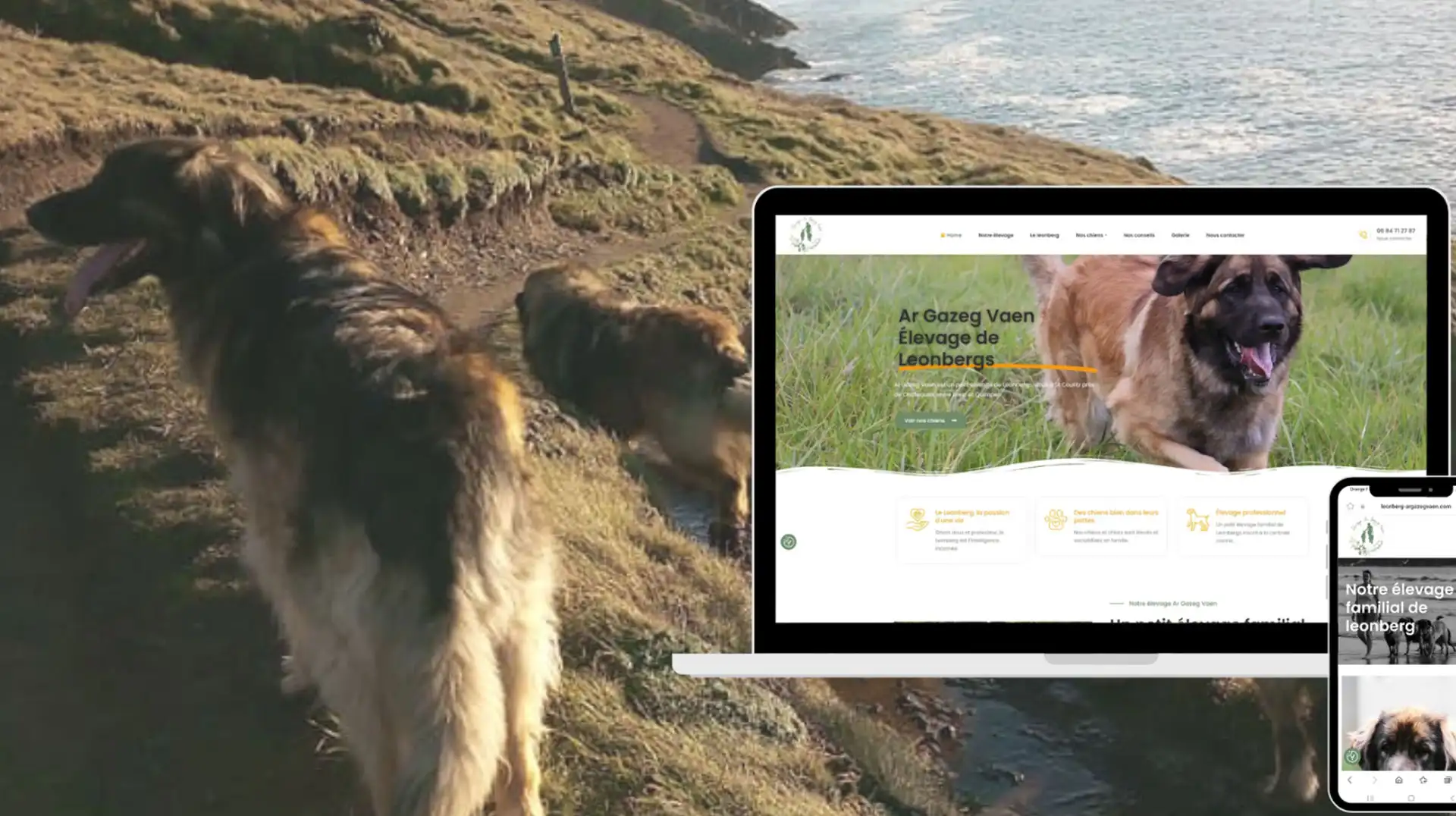 L'agence Com'etic a réalisé la conception et le développement sur WordPress Elementor du site Web d'un éleveur de chiens de Leonberg situé en Bretagne